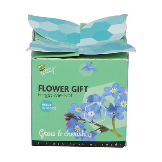 Grow gifts Klavertje Vier & Vergeet-me-nietje