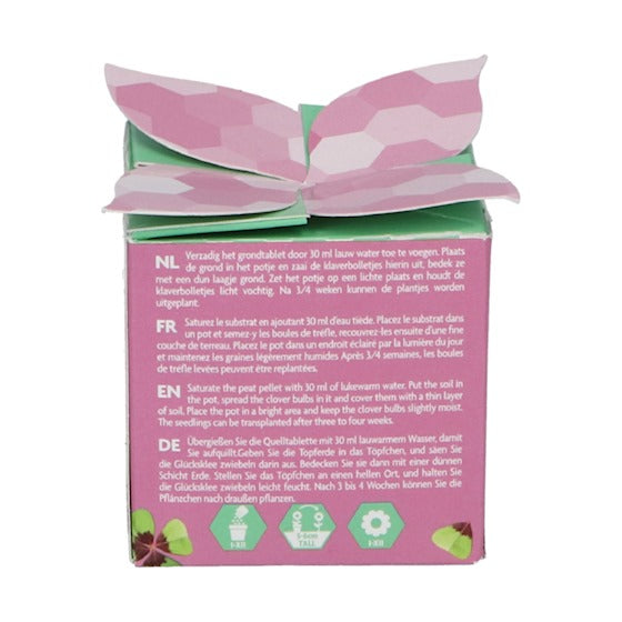 Grow gifts Klavertje Vier & Vergeet-me-nietje