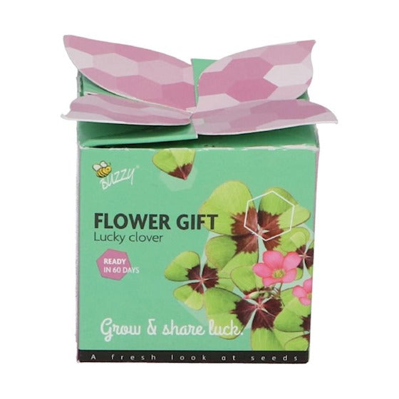 Grow gifts Klavertje Vier & Vergeet-me-nietje