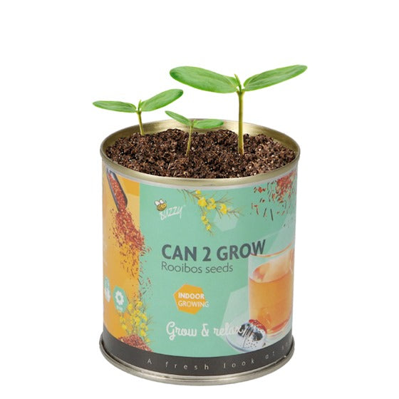 Grow gifts Koffie- en Rooibos theeplant Groeiblikken