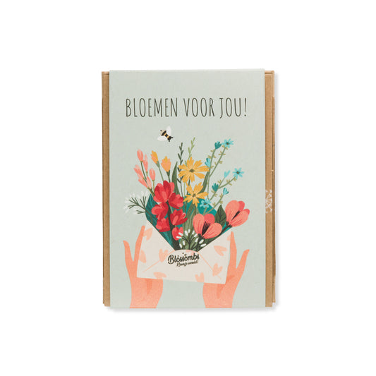 Blossombs - Gift Box mini 4 zaadbommetjes