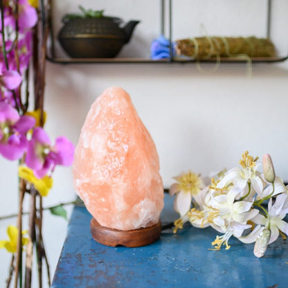 Himalayan salt lamp - pink