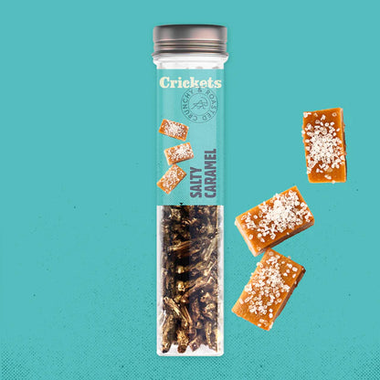 Cricket Nibbles: Discover the Taste Revolution!