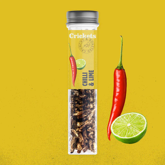 Cricket Nibbles: Discover the Taste Revolution!