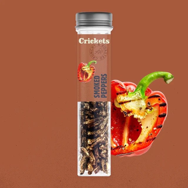 Cricket Nibbles: Discover the Taste Revolution!