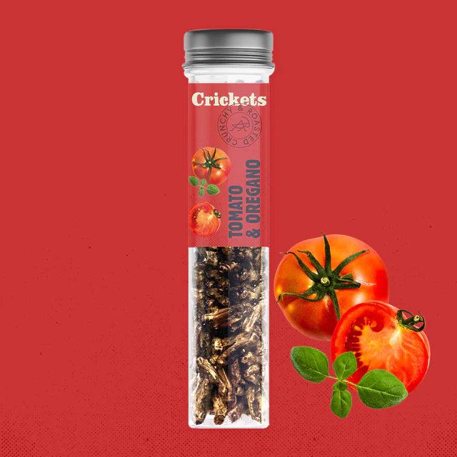 Cricket Nibbles: Discover the Taste Revolution!