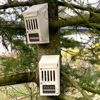 DIY Bee Hotel / Insect Hotel