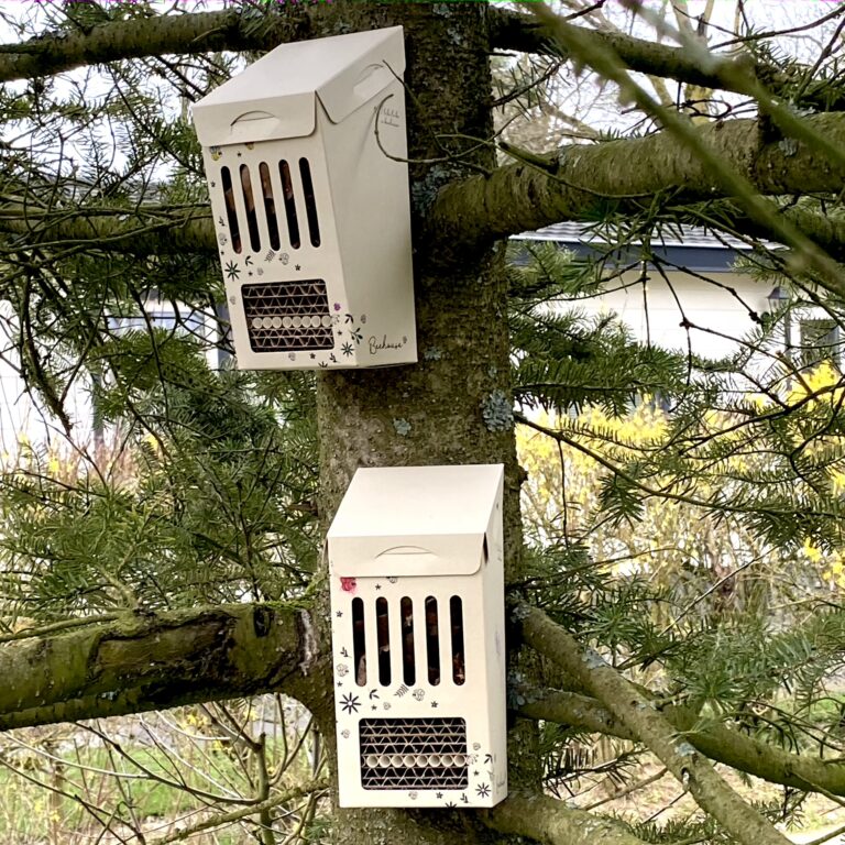 DIY Bee Hotel / Insect Hotel