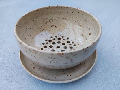 Berriebowl colander with drip plate