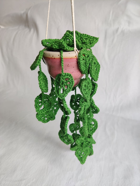 Hanging pot with pink plant