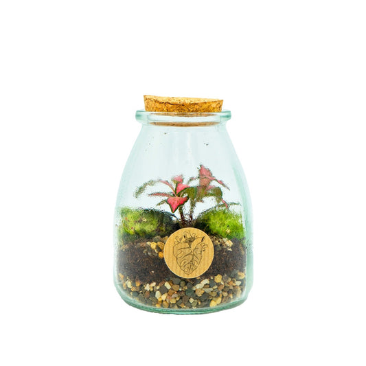 Terrarium Piepie