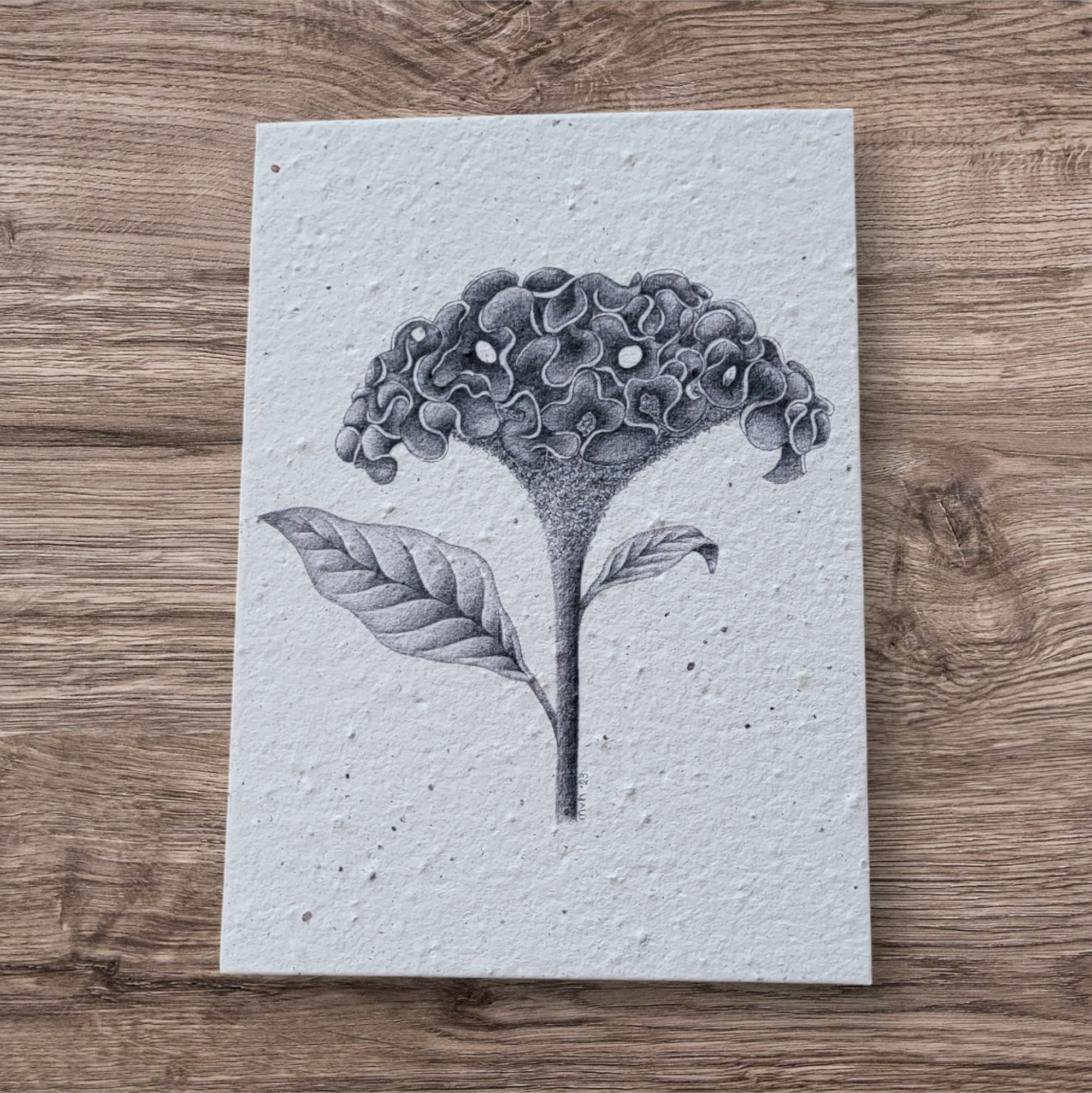 Plantable botanical cards