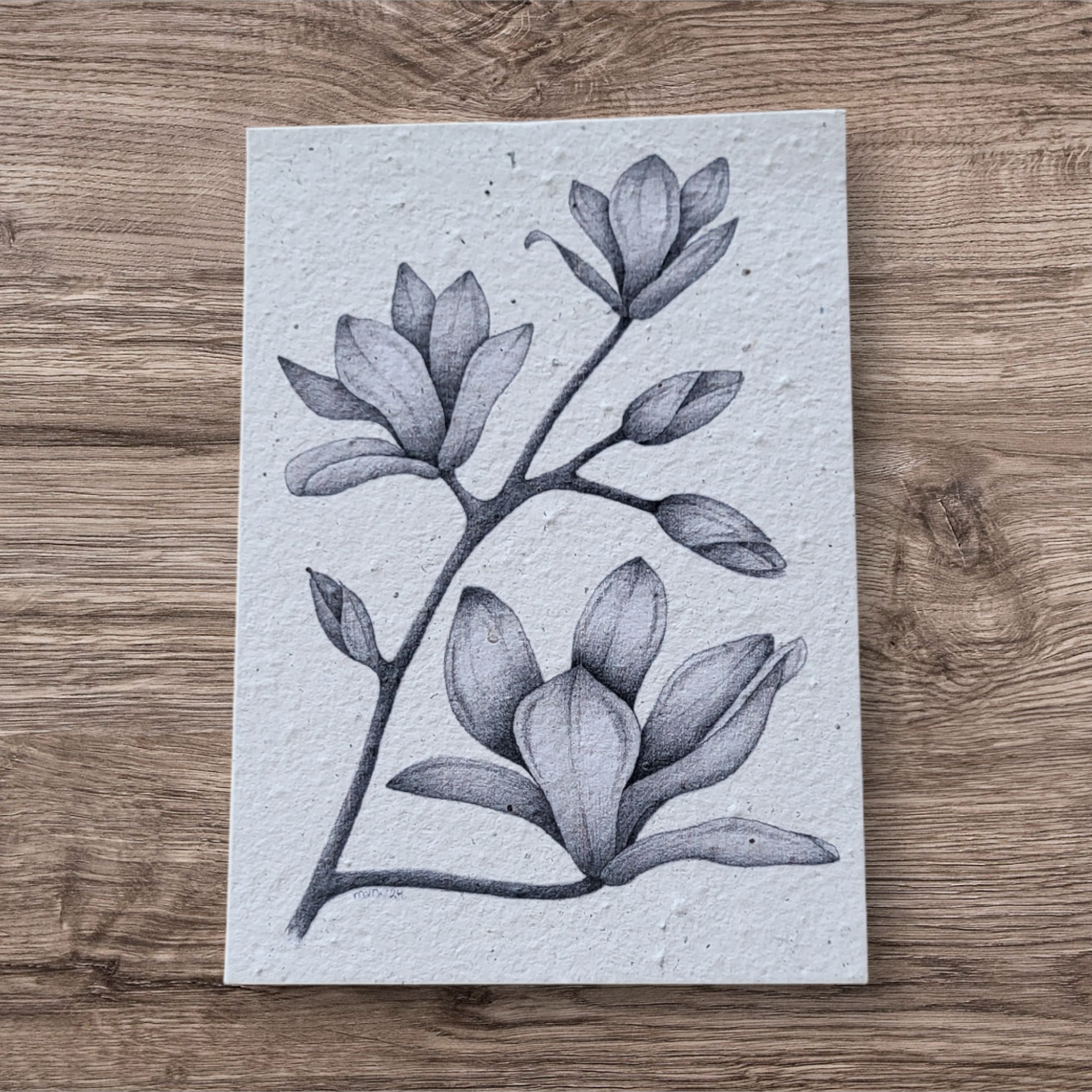 Plantable botanical cards