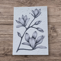 Plantable botanical cards