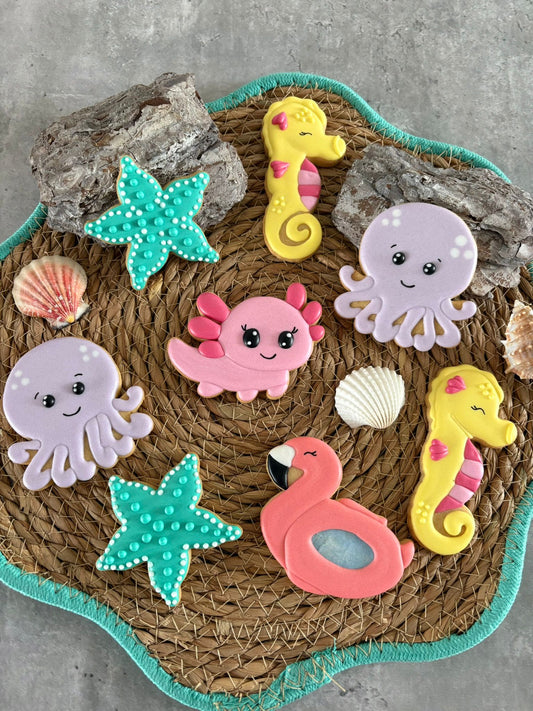 Workshop koekjes decoreren, thema Sea - 23 juli