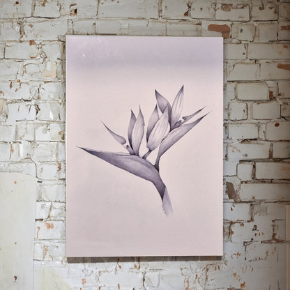 Card Botanical Drawing