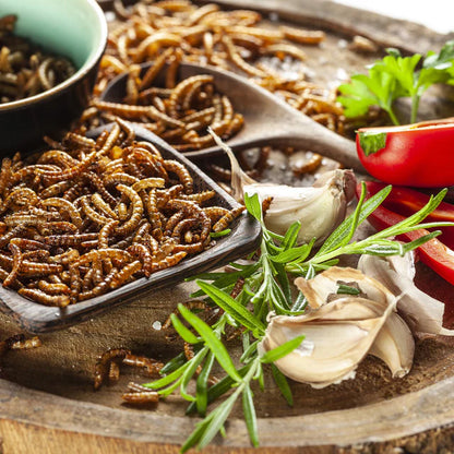 Worm Nibbles: Discover the Taste Revolution!