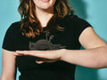 Dead Sparrow
