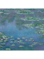 Claude Monet – Waterlelies Kunstsokken