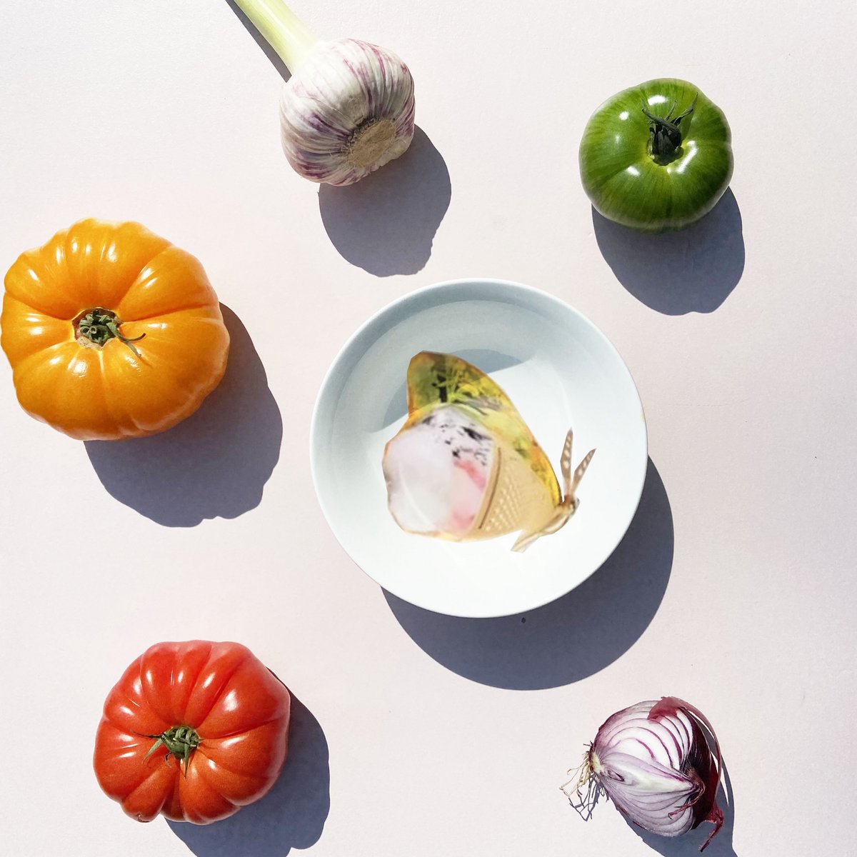 La Dolce Vita di una Farfalla – Picnic Salads | Set of 4 Porcelain Bowls