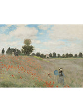 Claud Monet - Poppies Art Socks
