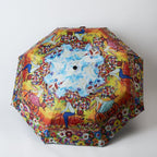 Umbrella – Flowers for Aunt Julieta